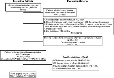 Analysis of the anatomic eligibility for transcarotid artery revascularization in Chinese patients who underwent carotid endarterectomy and transfemoral carotid artery stenting